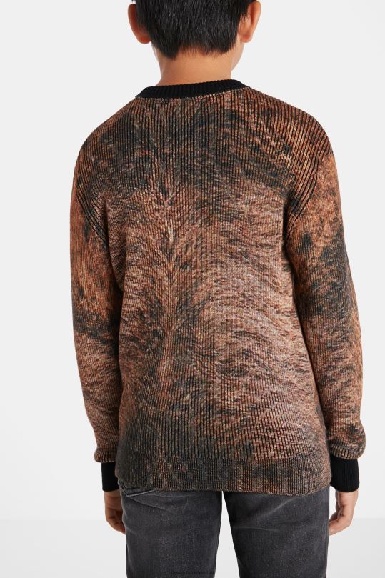 Desigual Colombia pagina oficial - ropa 4802L1876 chico Desigual jersey de tricot con estampado integral